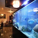 Niko 4* Zadar